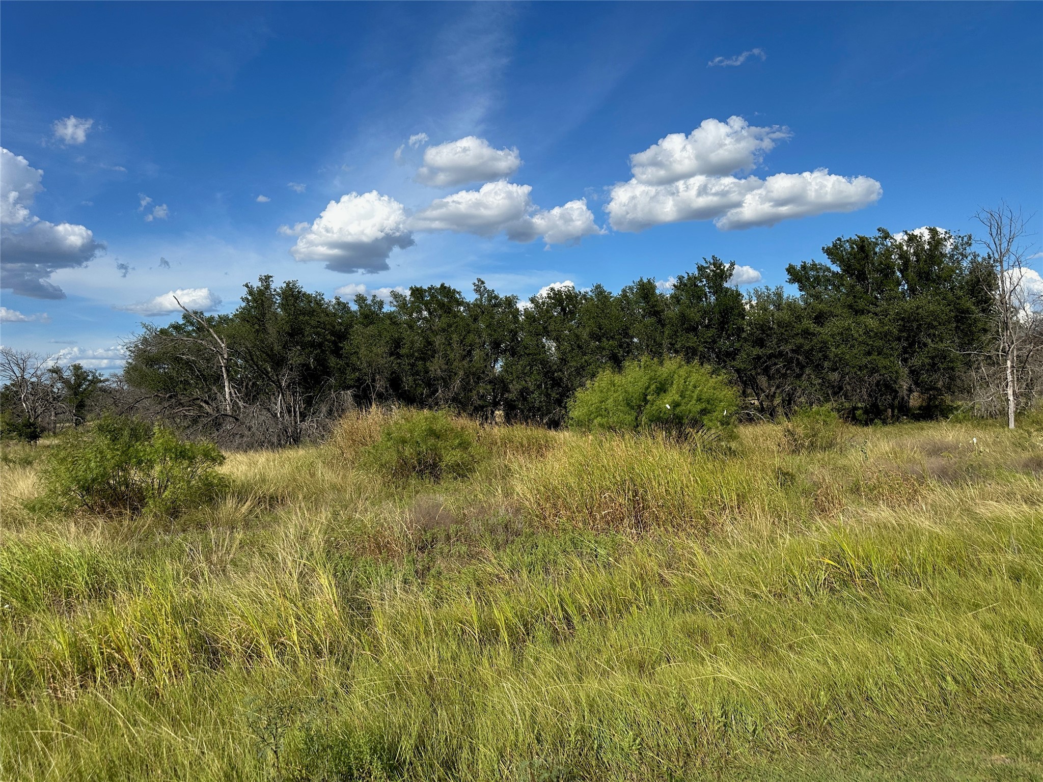 720721 Safe Harbor Brownwood TX 76801