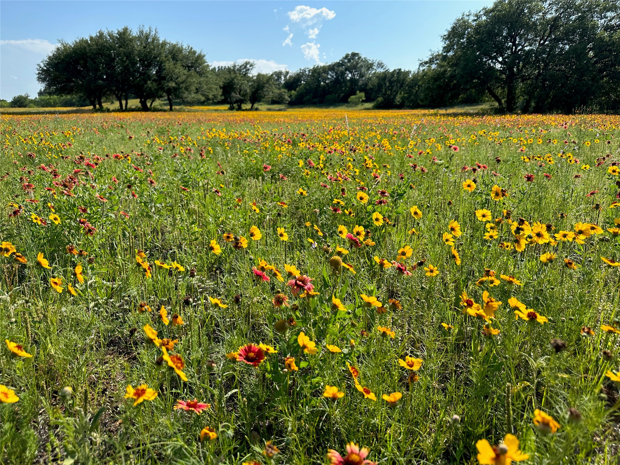 720721 Safe Harbor Brownwood TX 76801