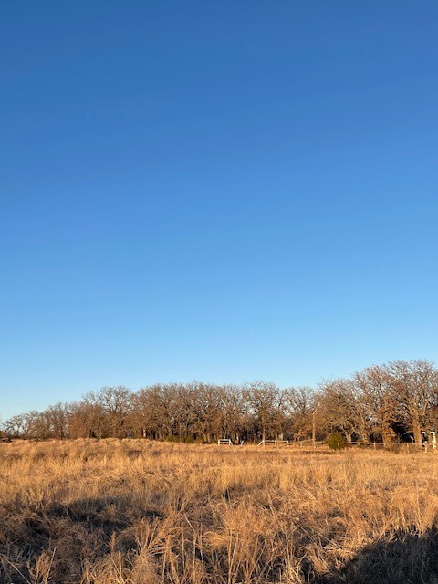 8496 Lavender Road Springtown TX 76082