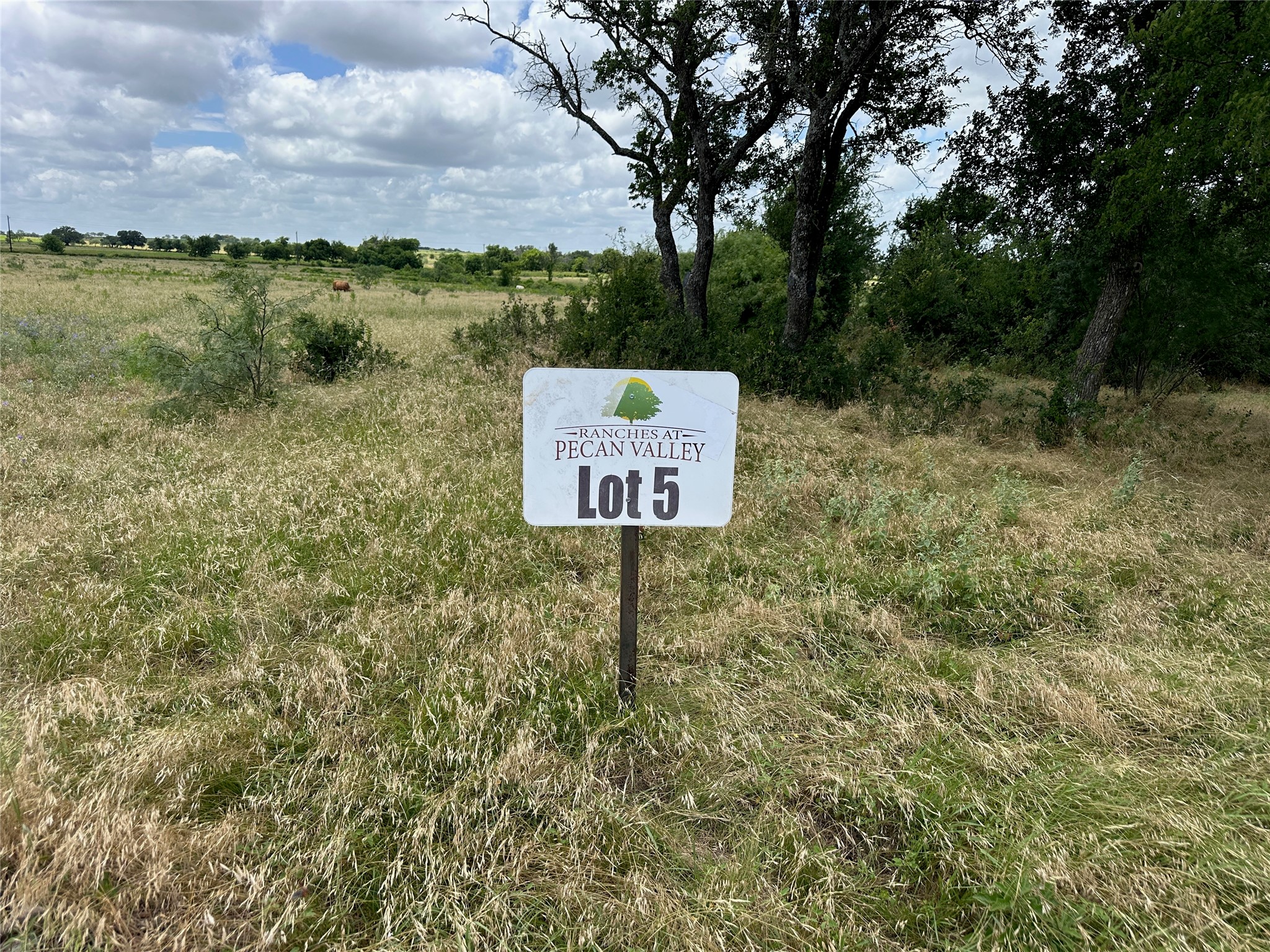 5 Pecan Valley Drive Comanche TX 76452