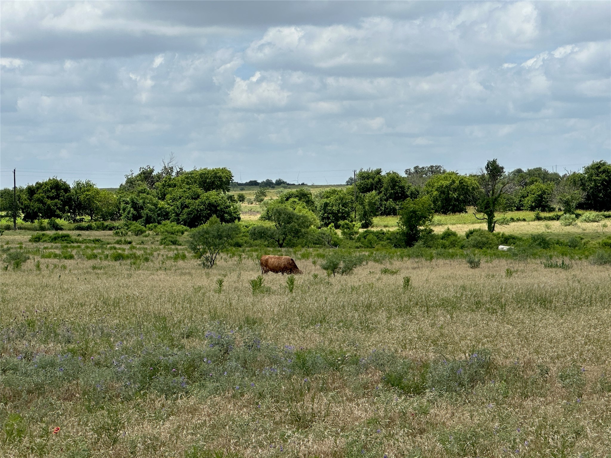 5 Pecan Valley Drive Comanche TX 76452