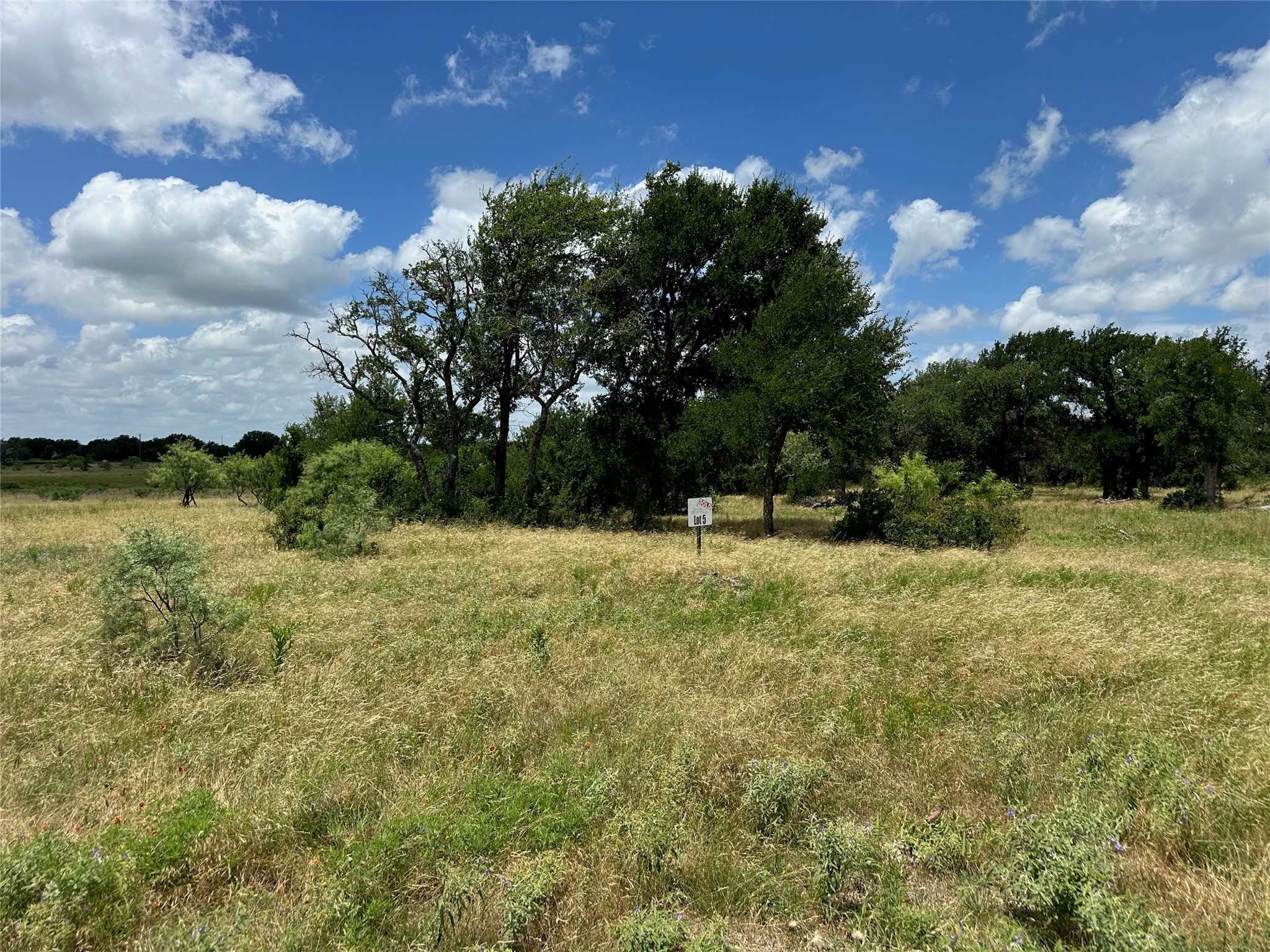 5 Pecan Valley Drive Comanche TX 76452