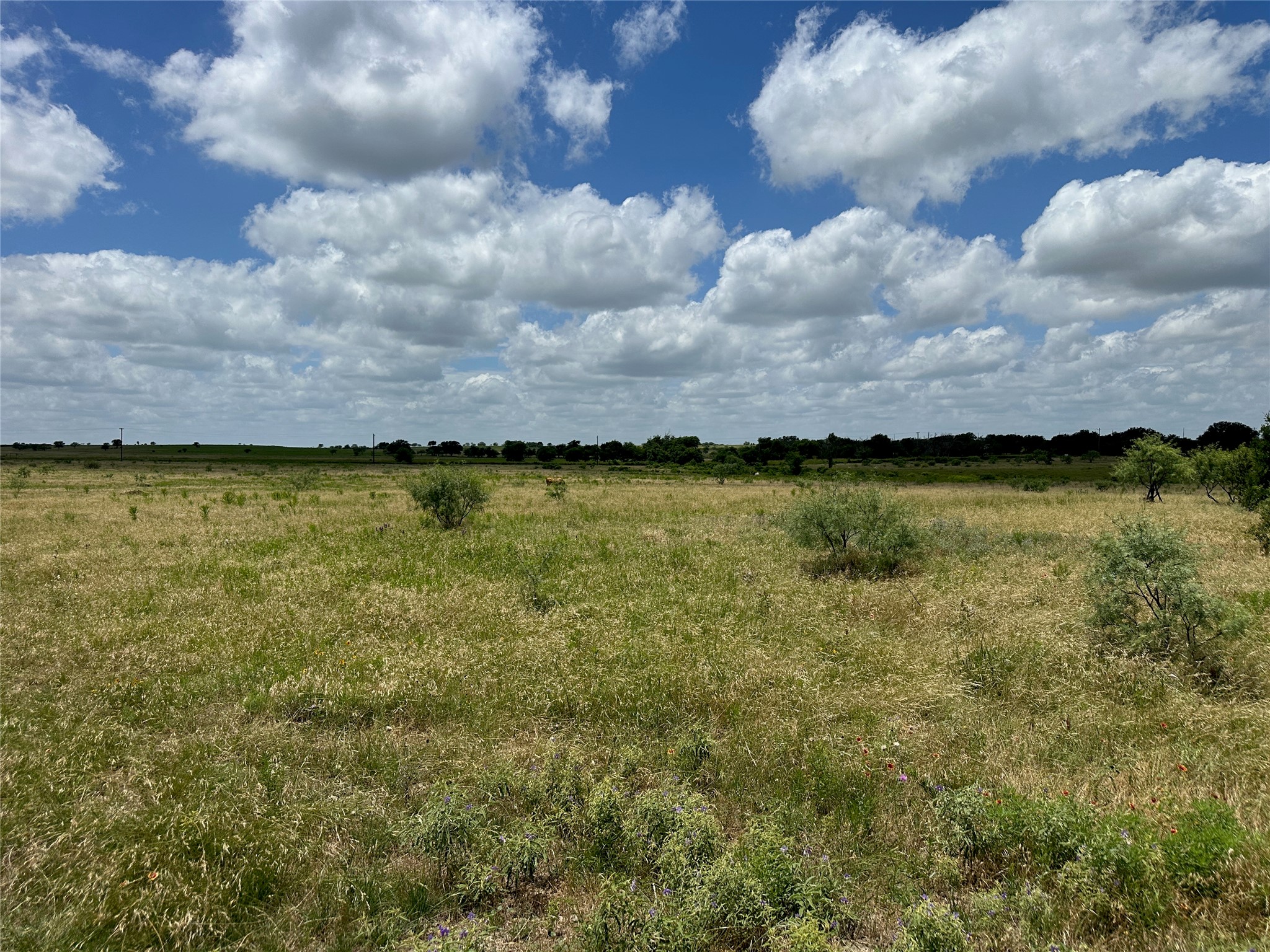 5 Pecan Valley Drive Comanche TX 76452