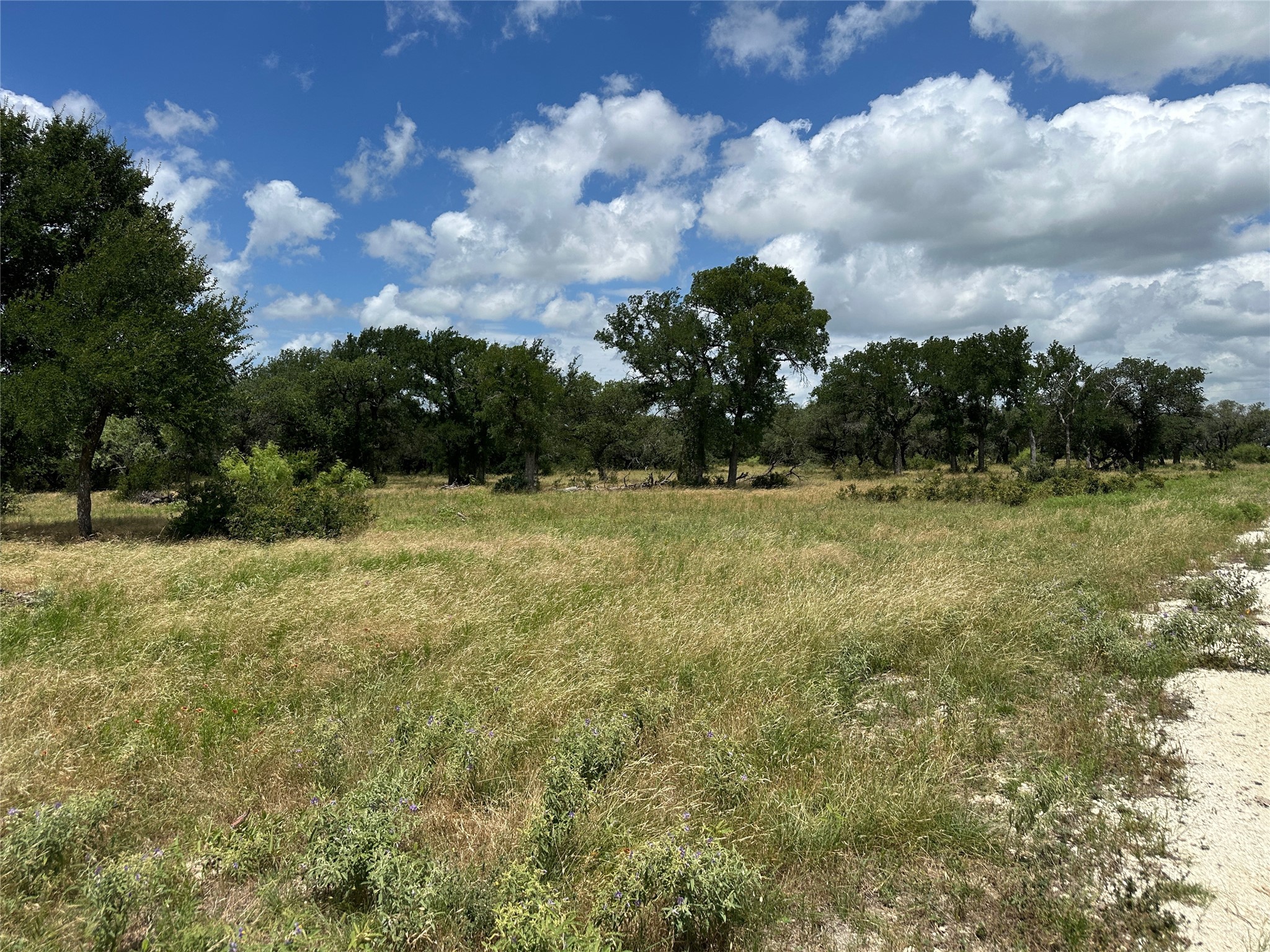 5 Pecan Valley Drive Comanche TX 76452