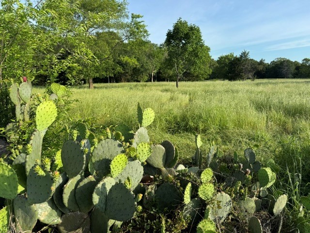 Na County Road 1730 Yantis TX 75497