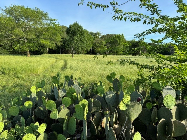 Na County Road 1730 Yantis TX 75497
