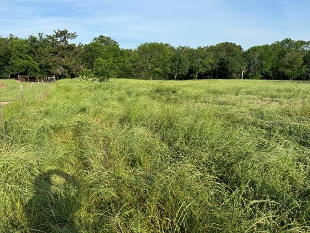 Na County Road 1730 Yantis TX 75497