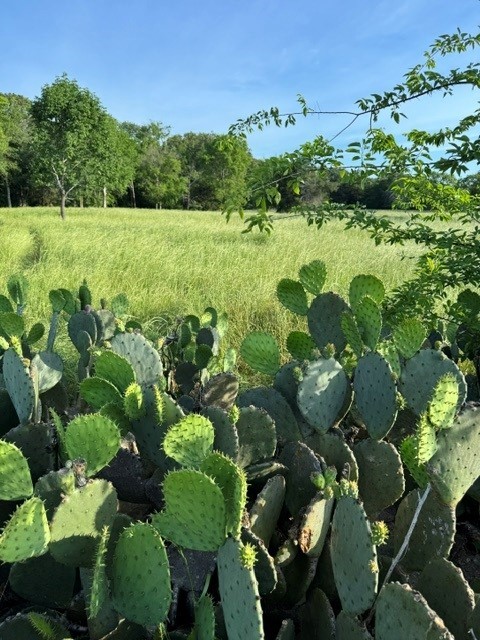 Na County Road 1730 Yantis TX 75497