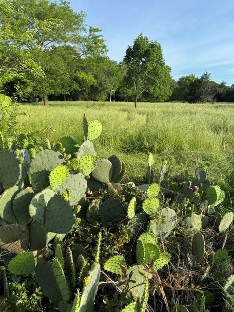 Na County Road 1730 Yantis TX 75497