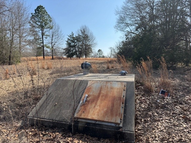 Tbd County Road 1575 Alba TX 75410