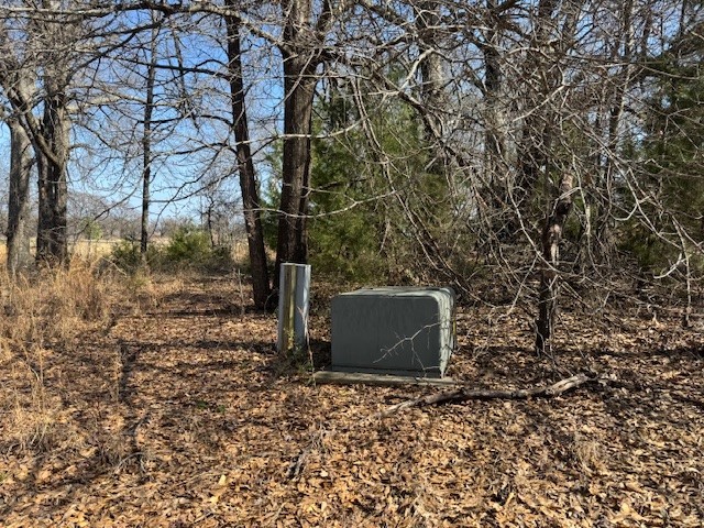 Tbd County Road 1575 Alba TX 75410