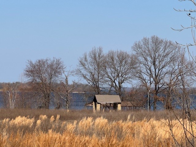 Tbd County Road 1575 Alba TX 75410