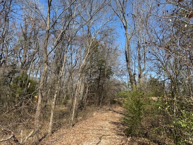 Tbd County Road 1575 Alba TX 75410
