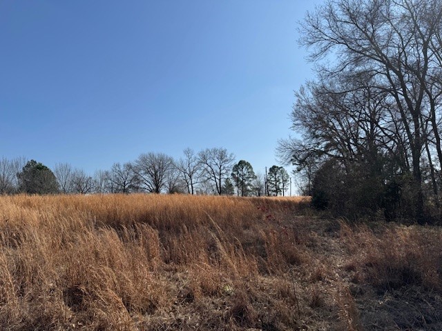 Tbd County Road 1575 Alba TX 75410