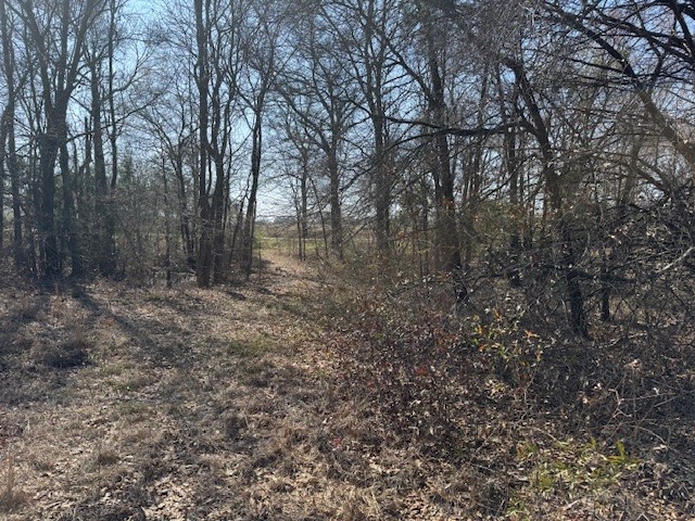Tbd County Road 1575 Alba TX 75410