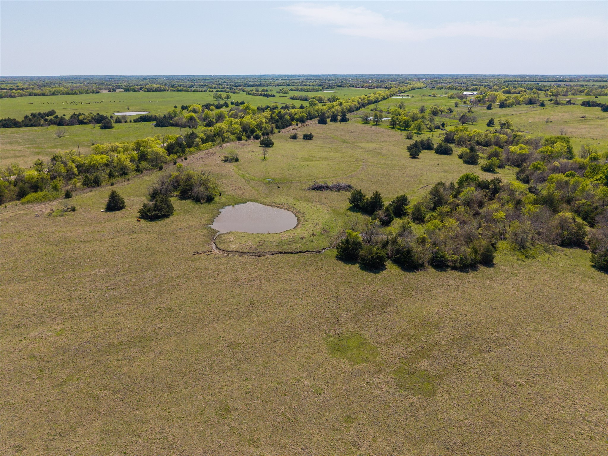 35 Ac County Road 1046 Celeste TX 75423