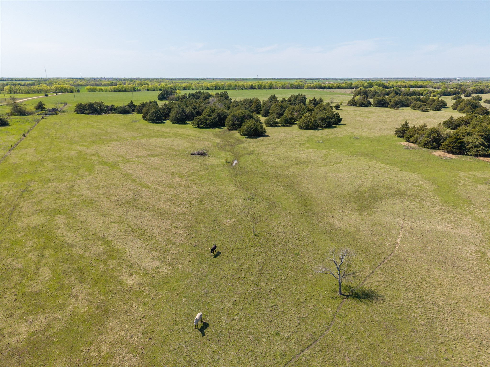 35 Ac County Road 1046 Celeste TX 75423