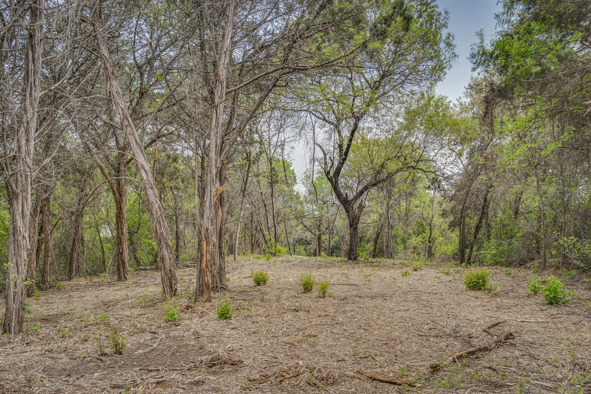 4923 Shining Star Trail Rio Vista TX 76093