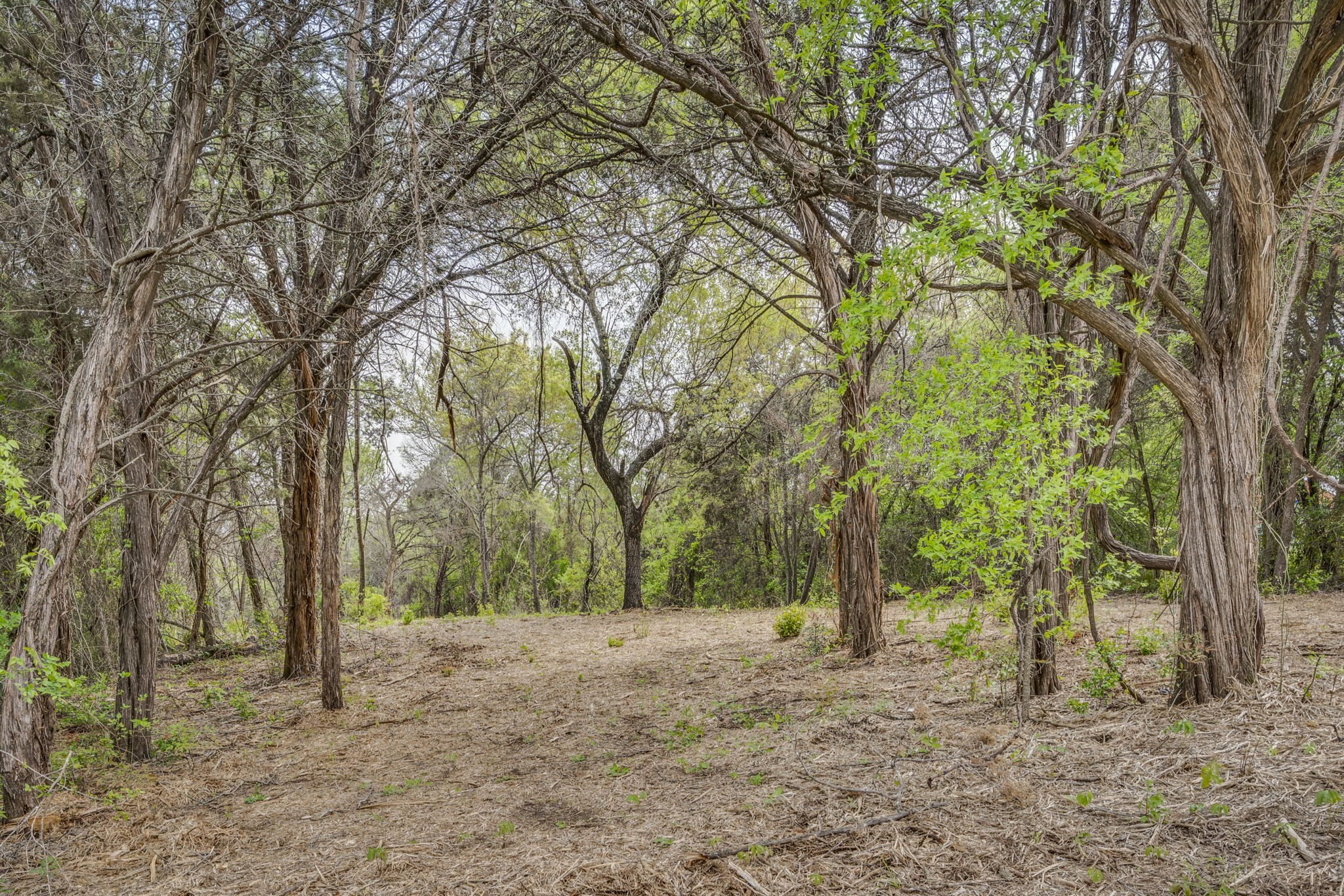 4923 Shining Star Trail Rio Vista TX 76093