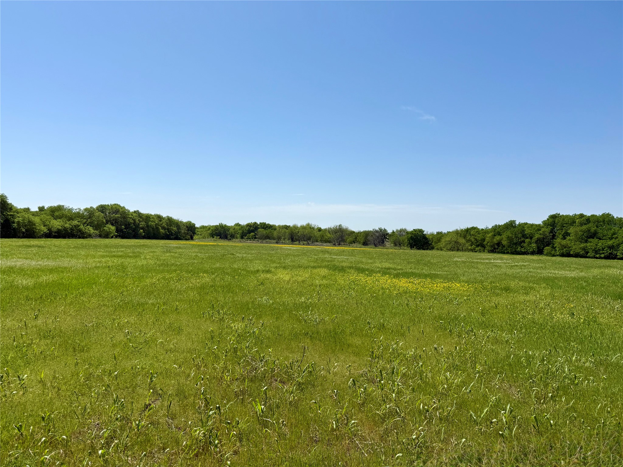 000 View Road Sanger TX 76266