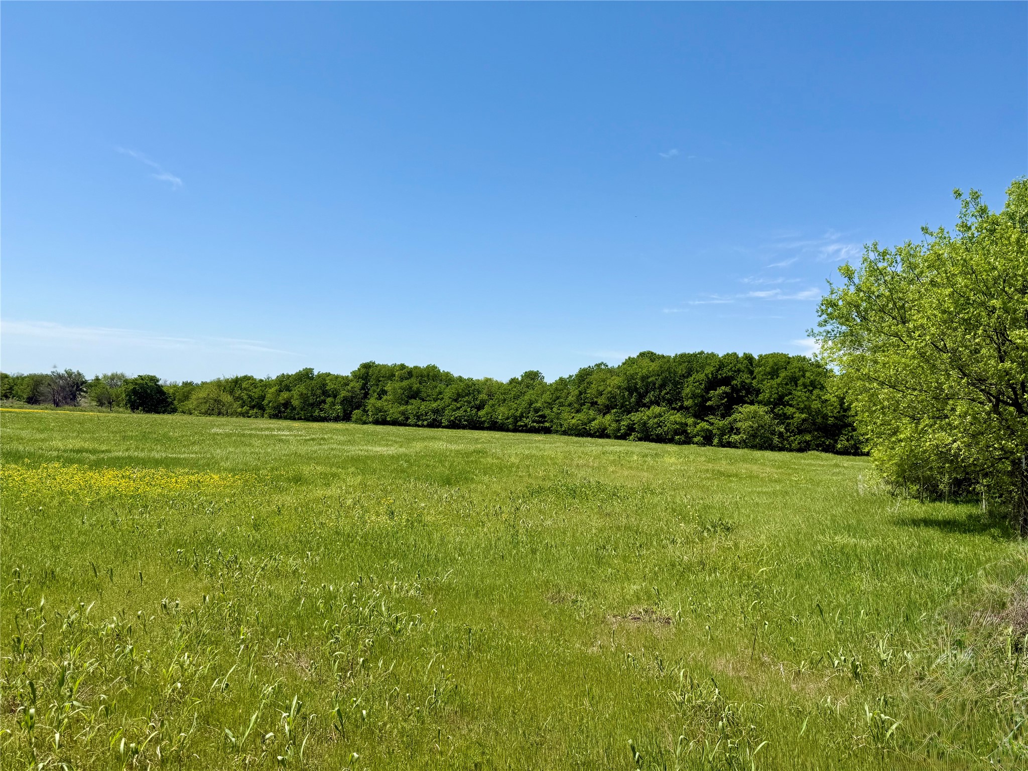 000 View Road Sanger TX 76266