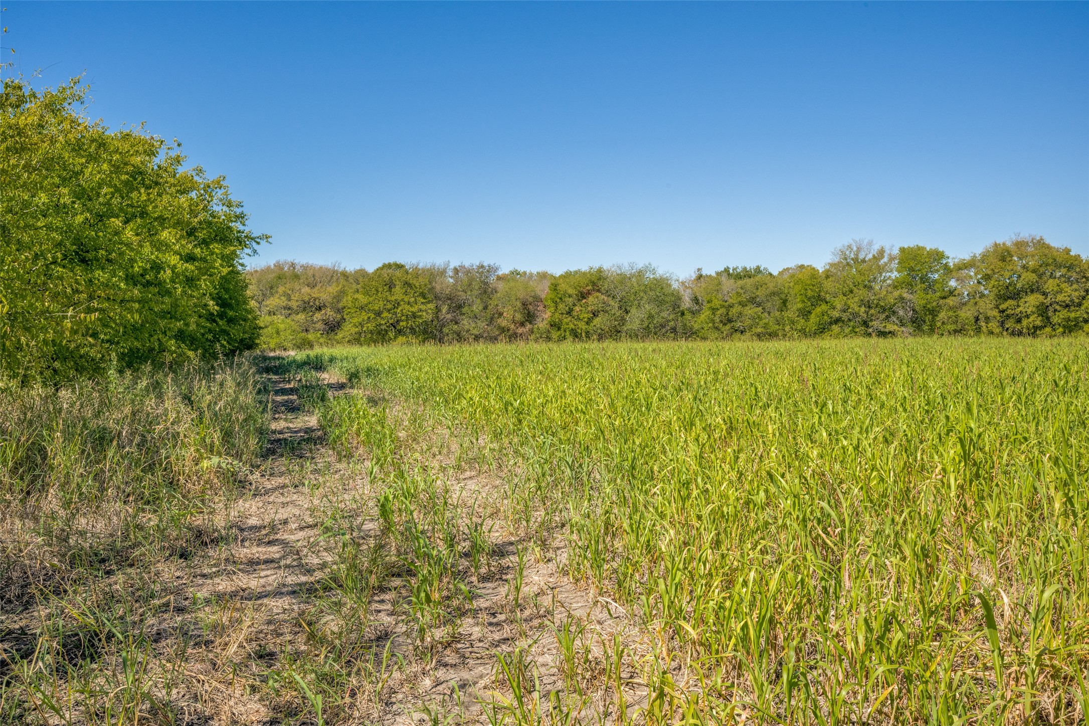 000 View Road Sanger TX 76266