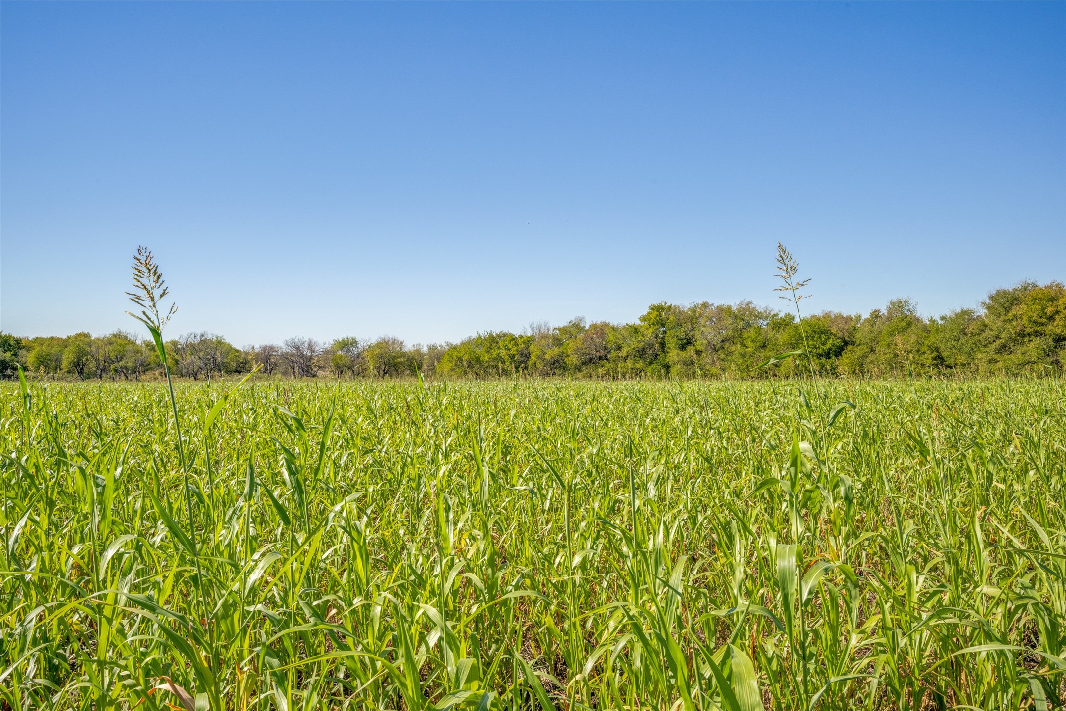000 View Road Sanger TX 76266