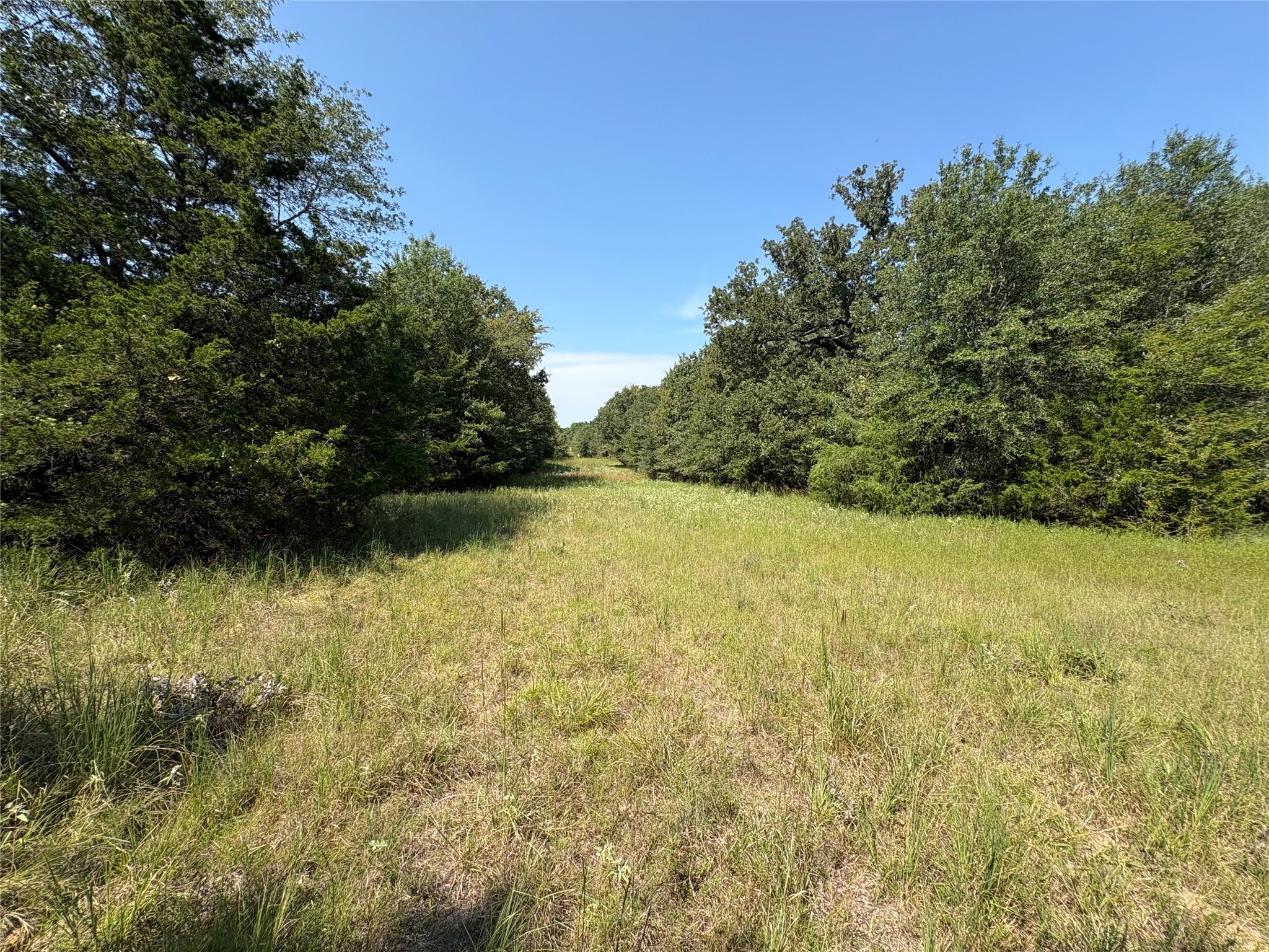 7649 Fm 69 Como TX 75431
