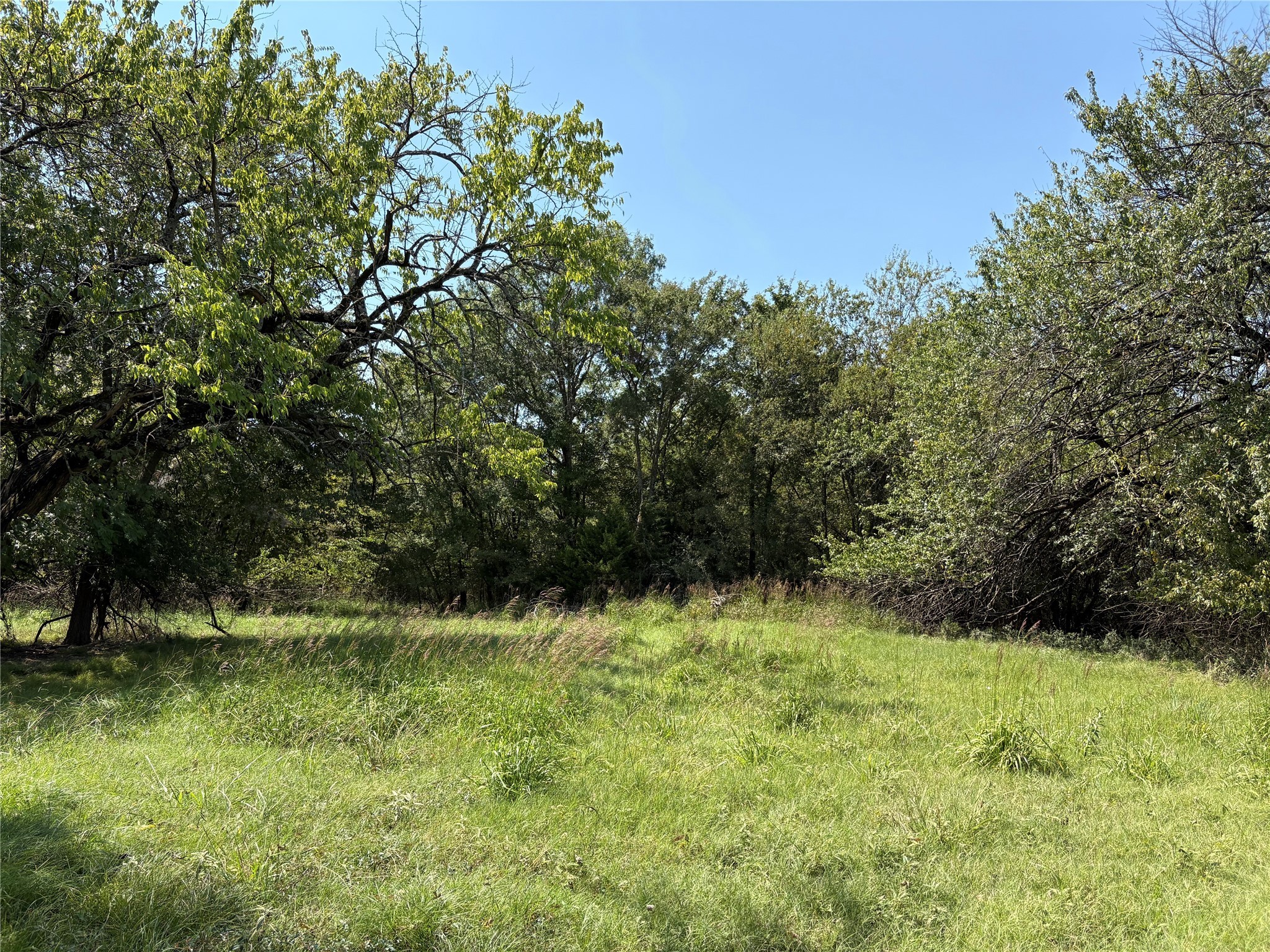 7649 Fm 69 Como TX 75431