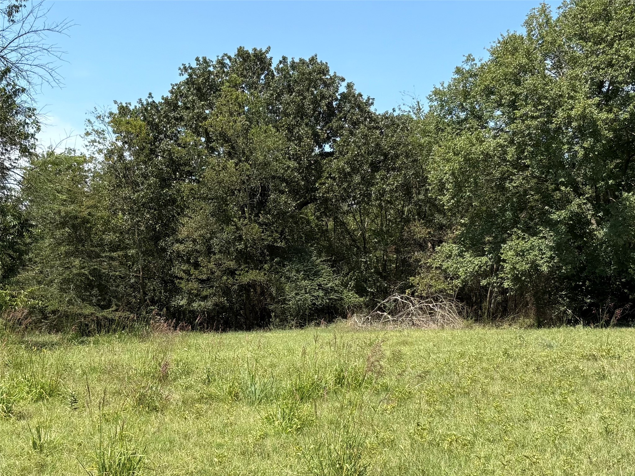 7649 Fm 69 Como TX 75431