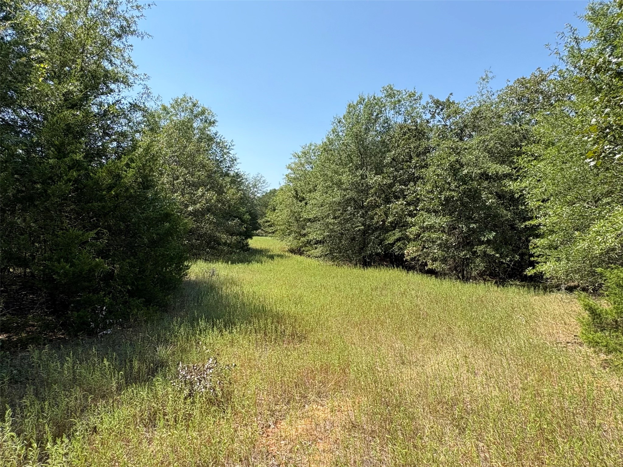 7649 Fm 69 Como TX 75431