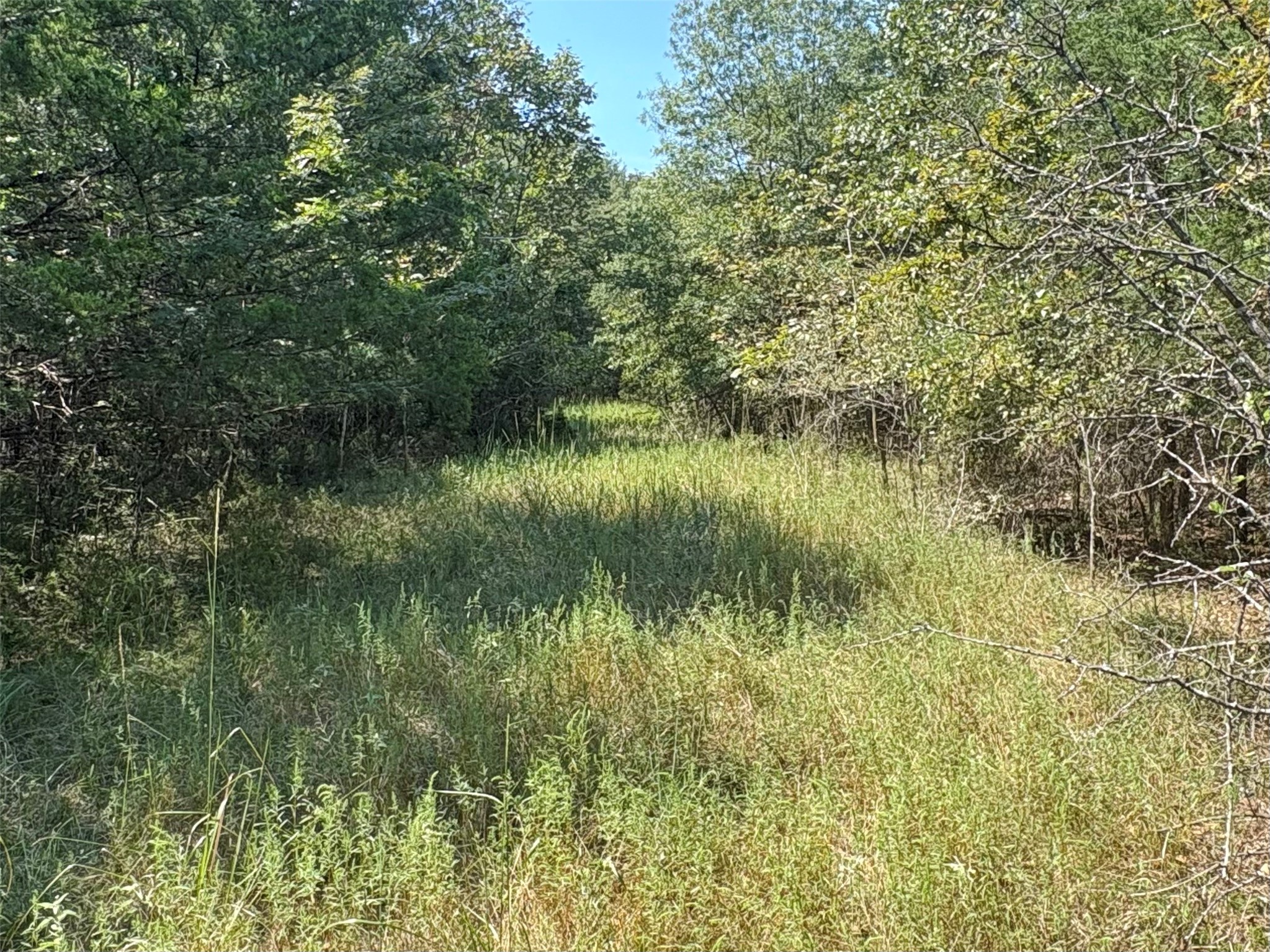 7649 Fm 69 Como TX 75431