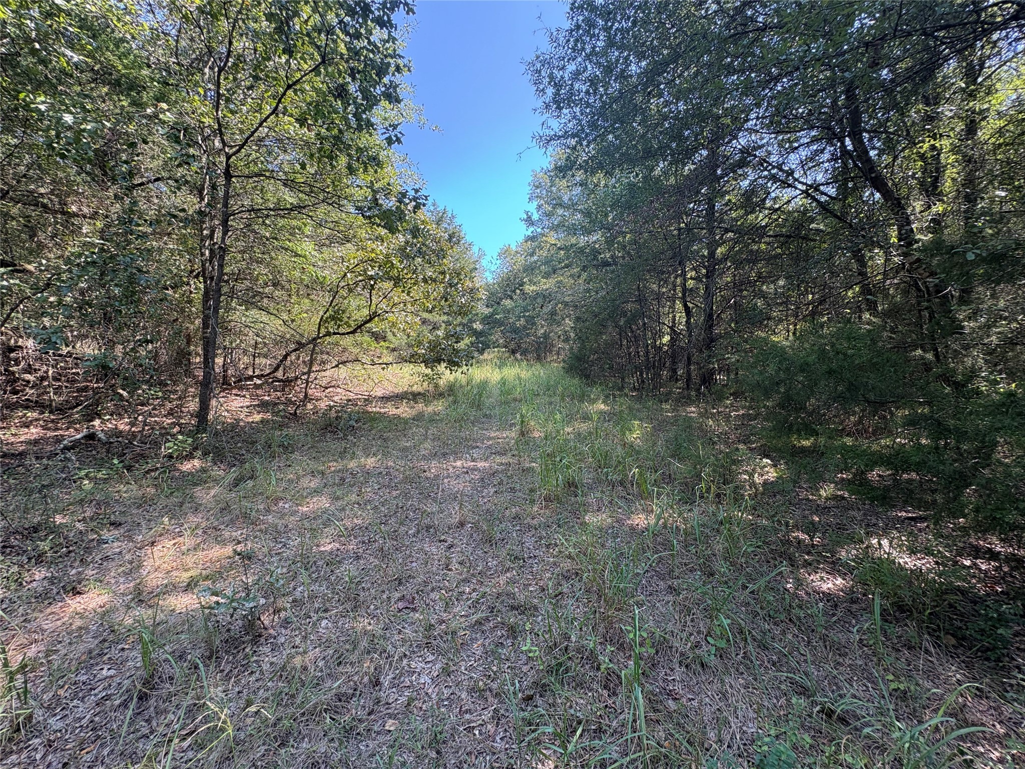 7649 Fm 69 Como TX 75431