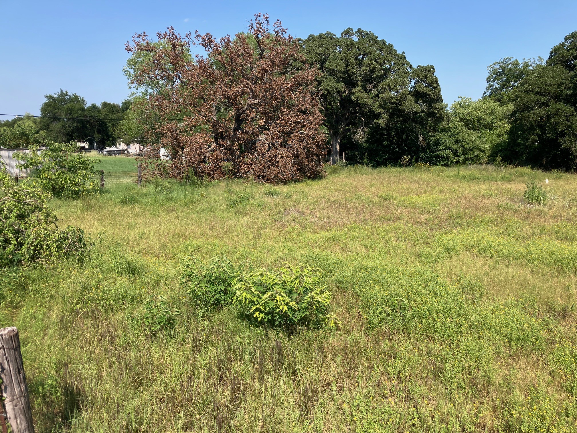 417 Harvey Street De Leon TX 76444
