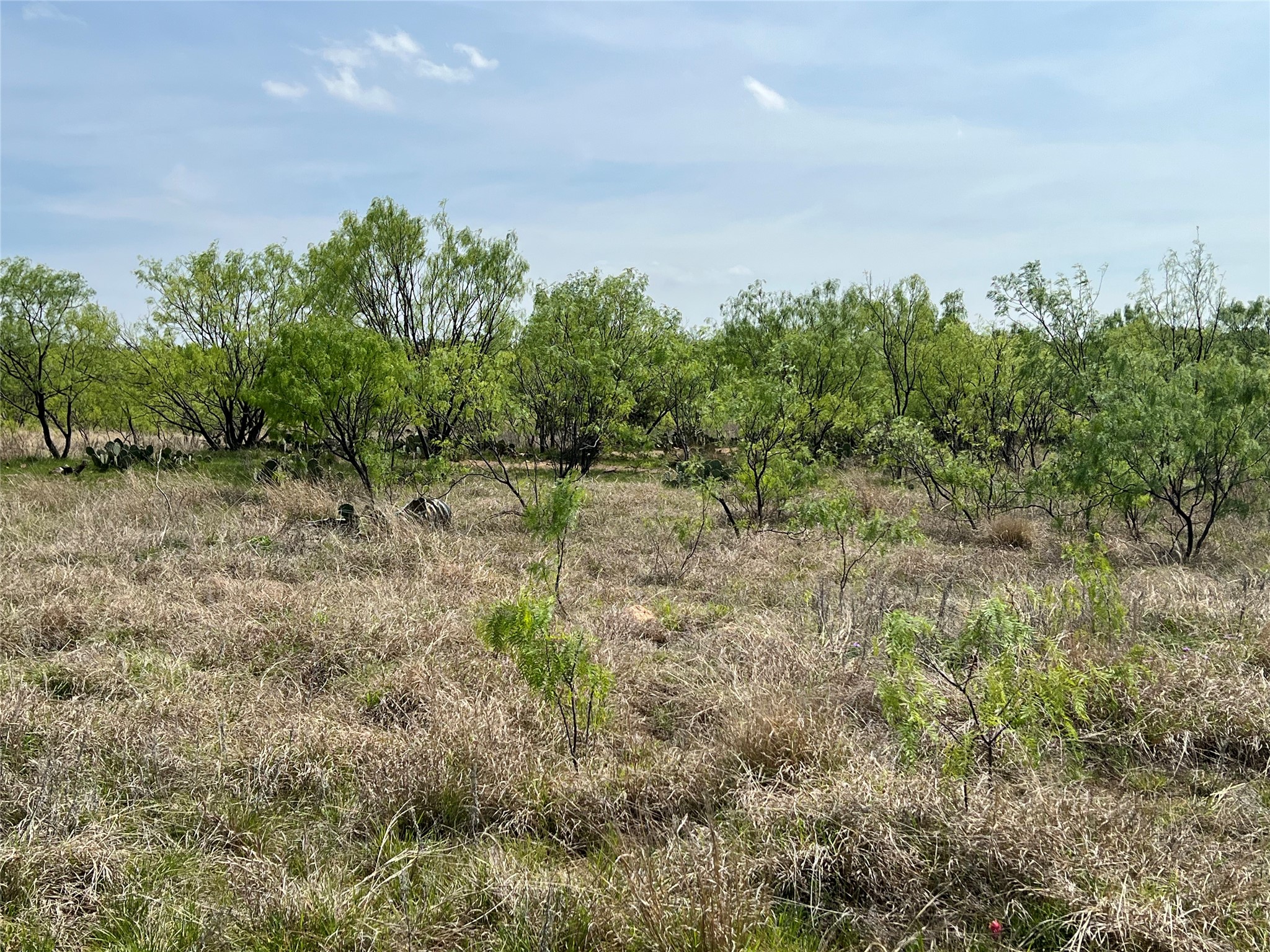 7565 Highway 377 Brownwood TX 76801