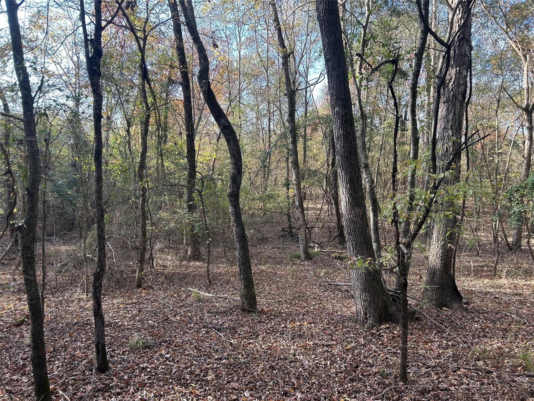 Tract A County Road 1412 Bogata TX 75426