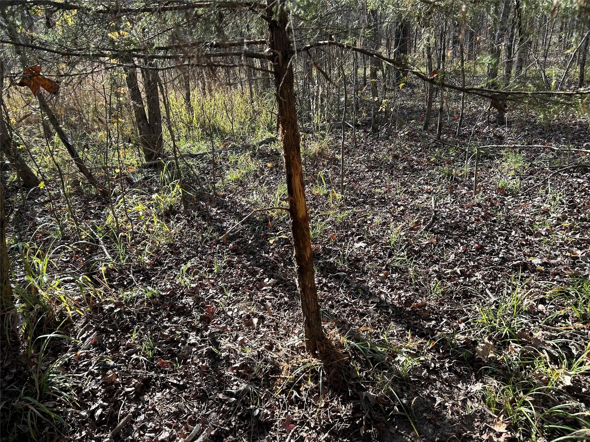 Tract A County Road 1412 Bogata TX 75426