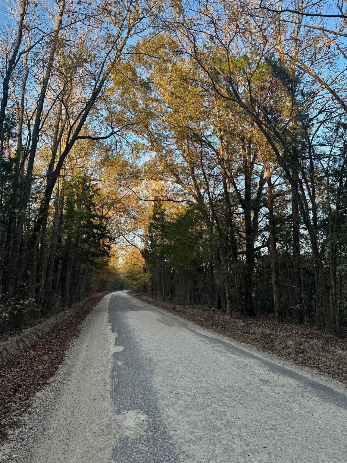 Tract A County Road 1412 Bogata TX 75426