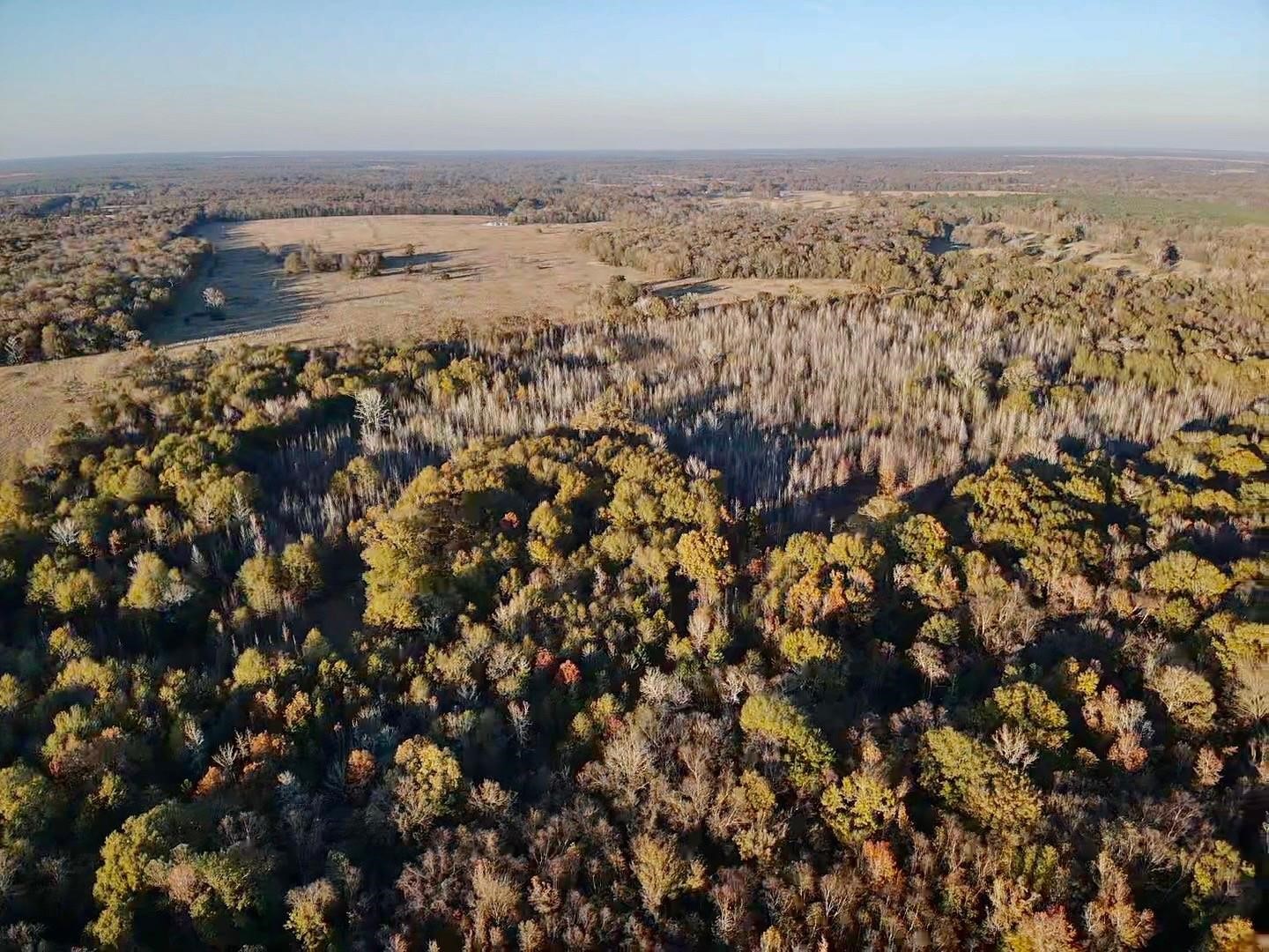 Tract A County Road 1412 Bogata TX 75426