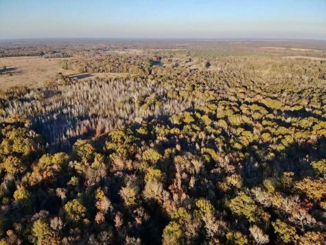 Tract A County Road 1412 Bogata TX 75426