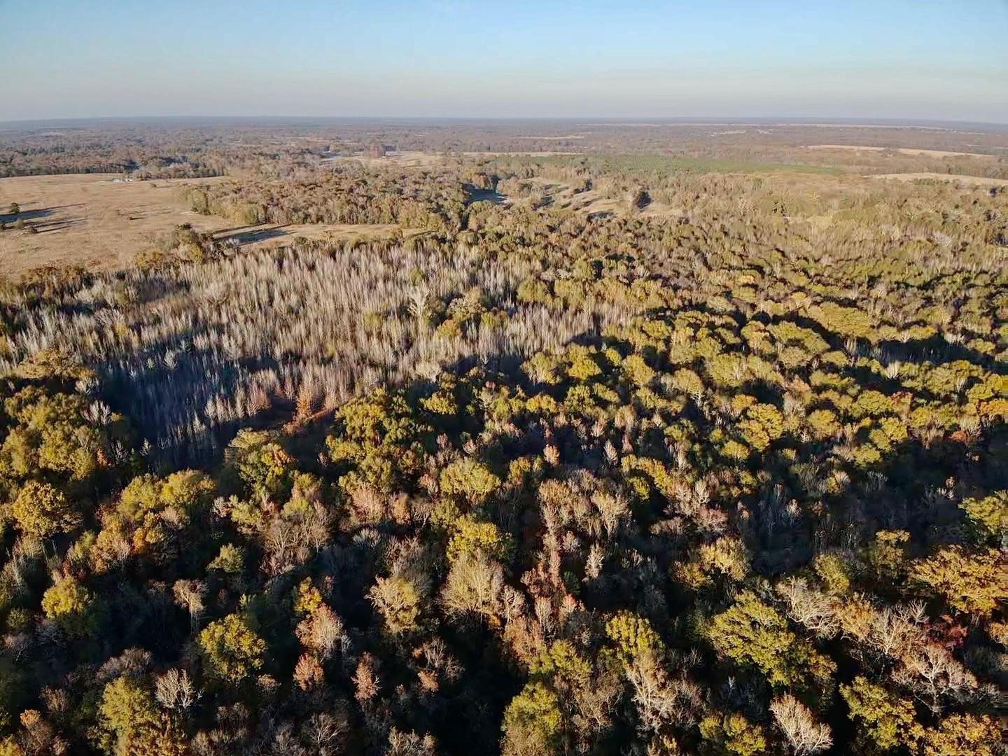 Tract A County Road 1412 Bogata TX 75426