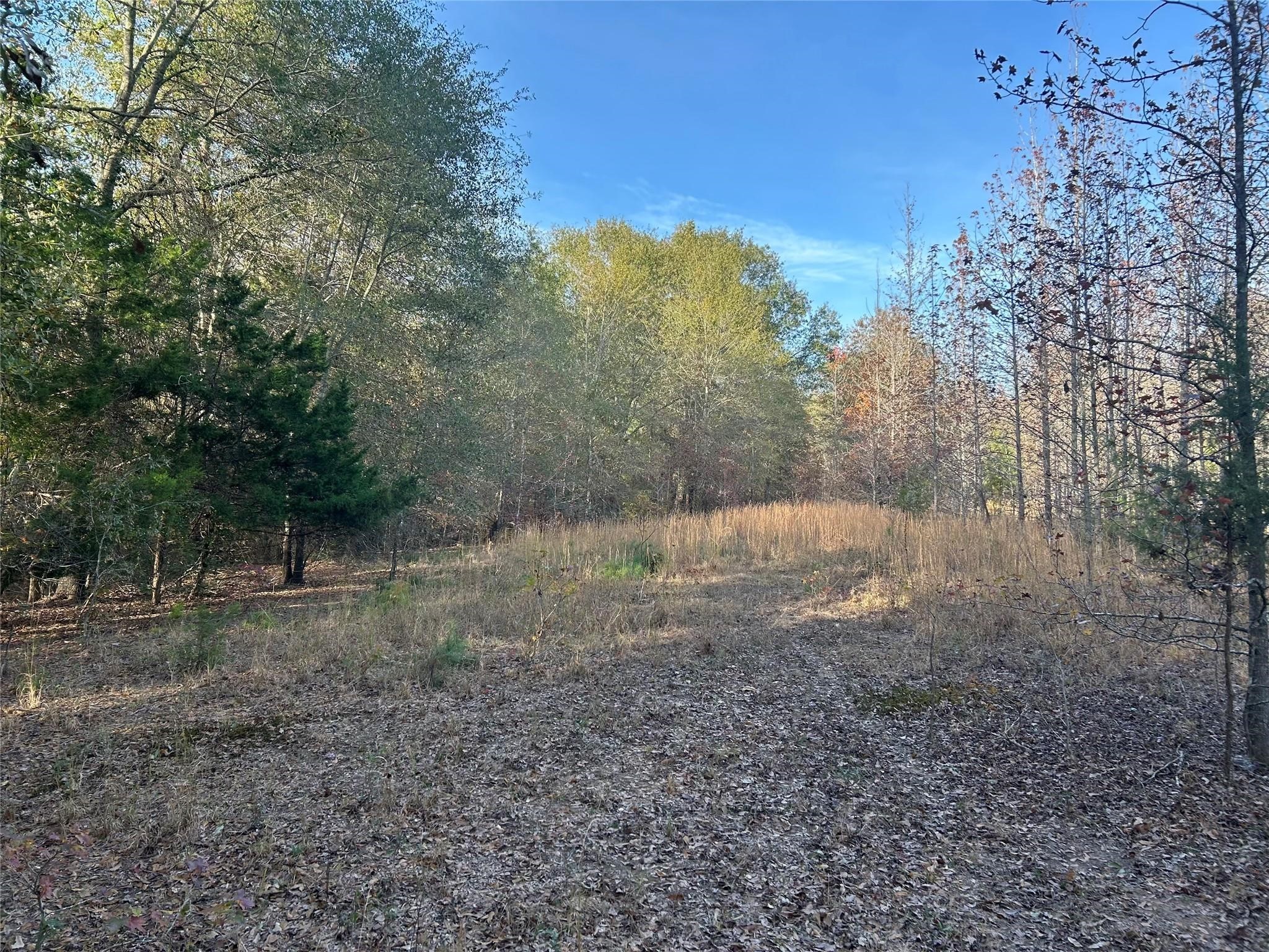 Tract A County Road 1412 Bogata TX 75426