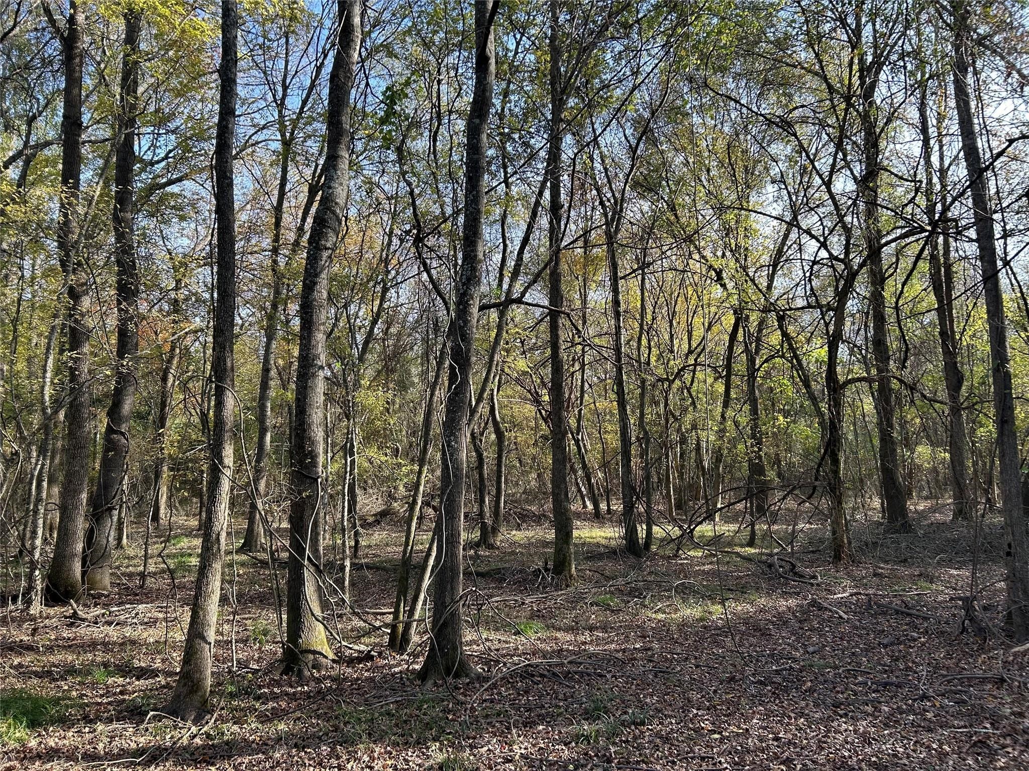 Tract A County Road 1412 Bogata TX 75426