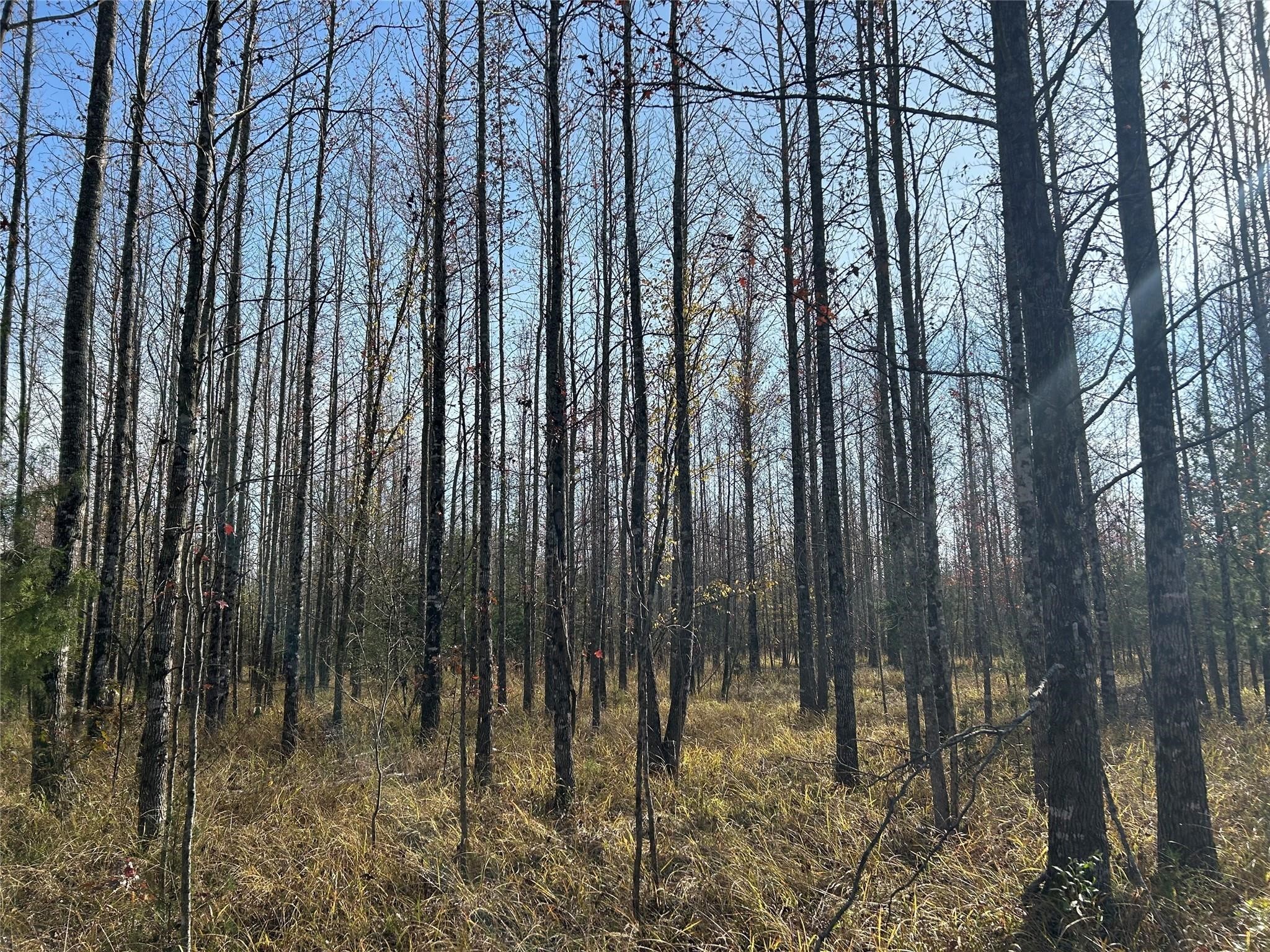 Tract A County Road 1412 Bogata TX 75426