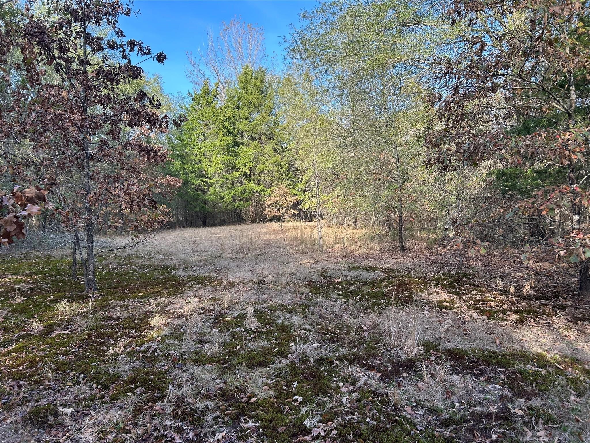 Tract A County Road 1412 Bogata TX 75426