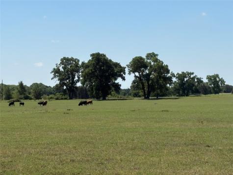 2966 Highway 679 Gorman TX 76454
