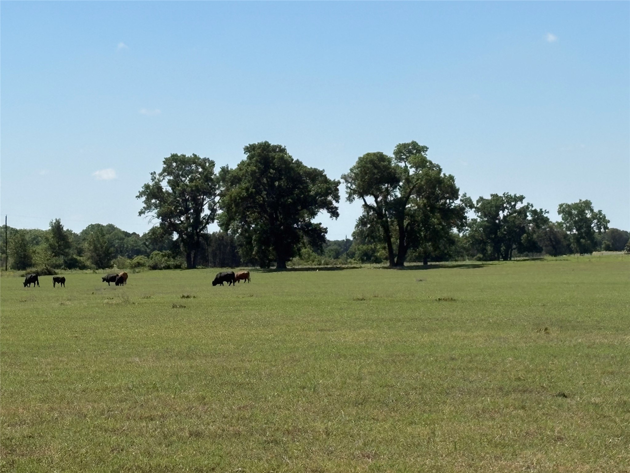2966 Highway 679 Gorman TX 76454