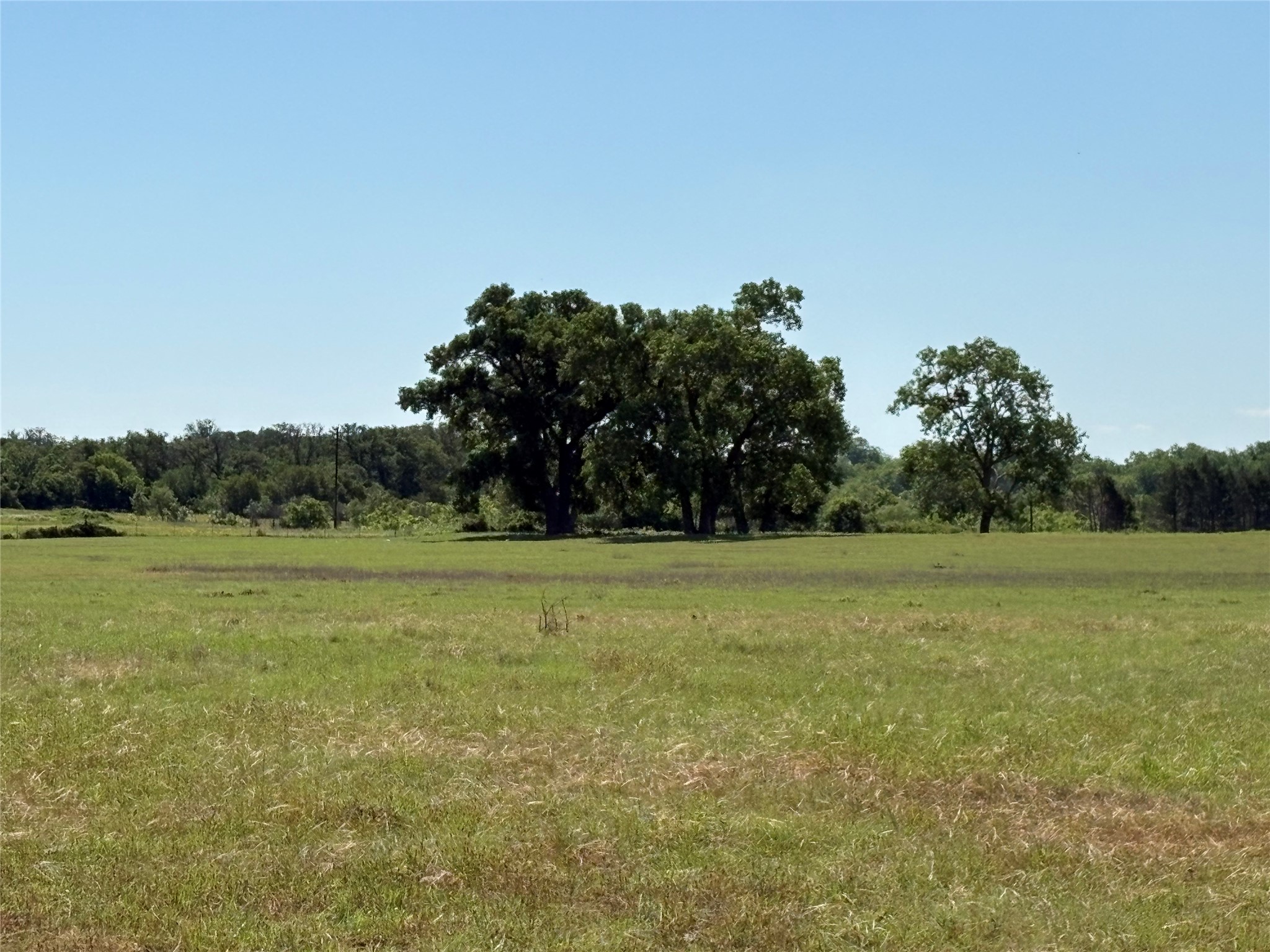 2966 Highway 679 Gorman TX 76454