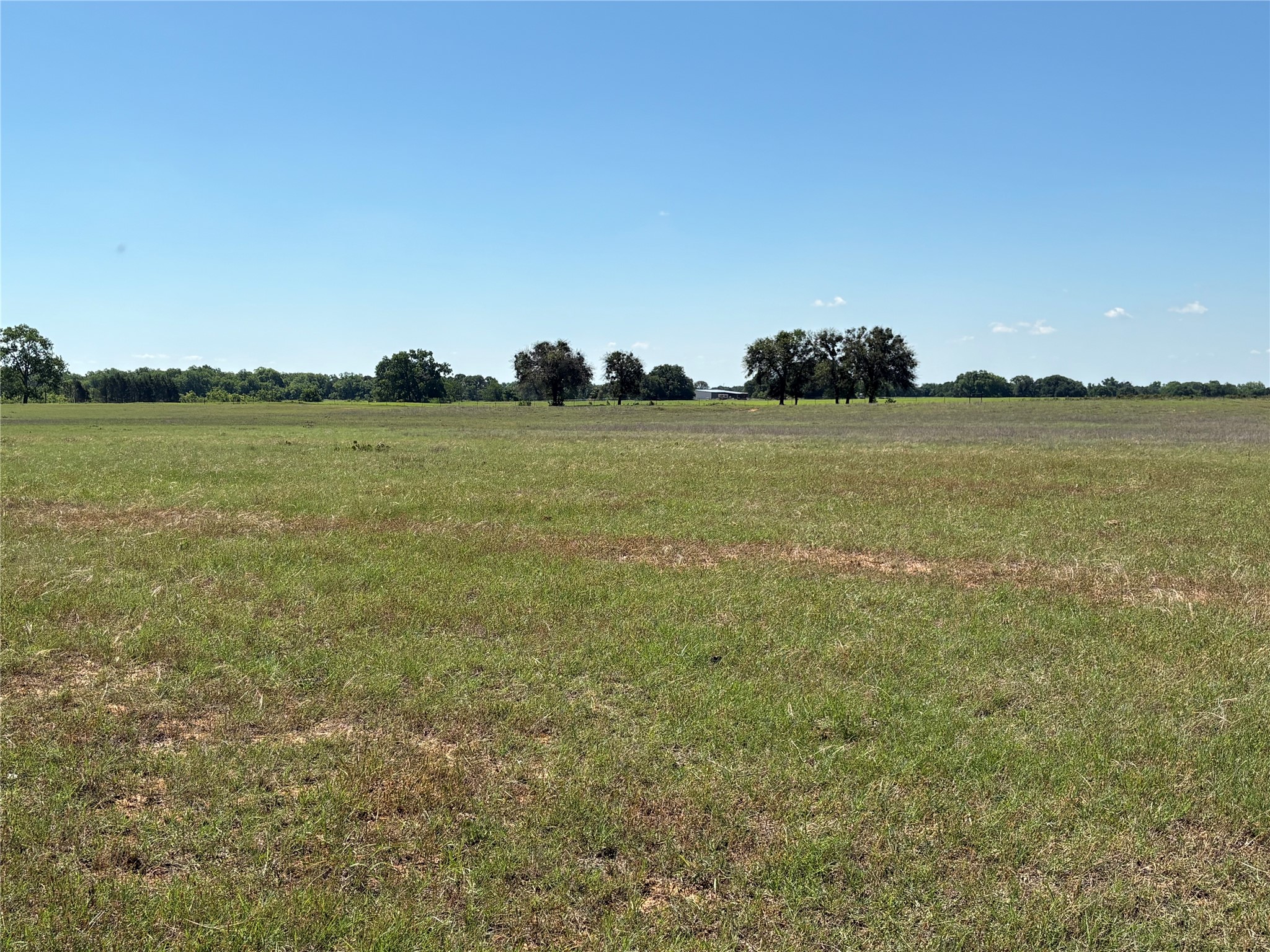 2966 Highway 679 Gorman TX 76454