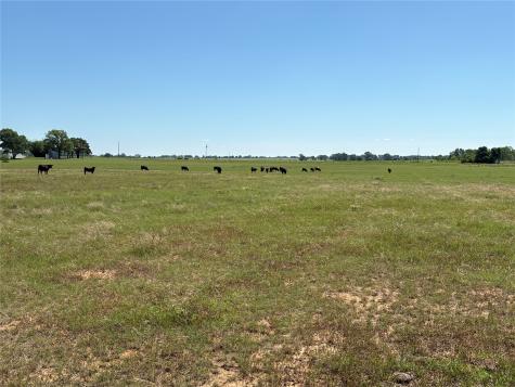 2966 Highway 679 Gorman TX 76454